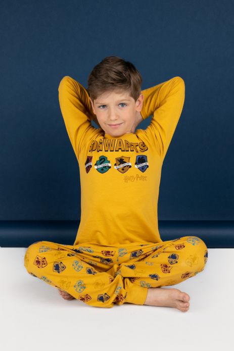 Pyjama für Jungen bunter, Lizenz von HARRY POTTER